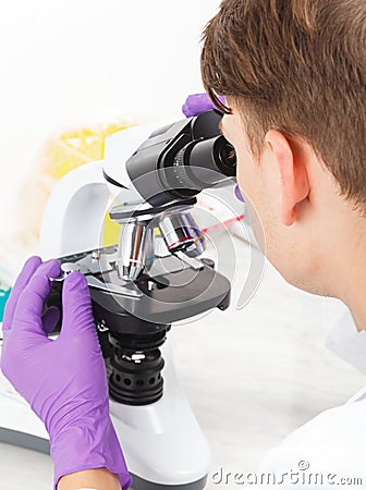 Scientist working in laboratory Stock Photo