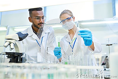 Scientists Doing Research in Medical Laboratory Stock Photo