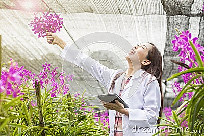Scientists are enjoying their work. Positive young asian at gardening specialist in orchids. botanist or biologist holding tablet Stock Photo