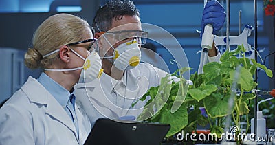 Scientists examining a green plant Stock Photo
