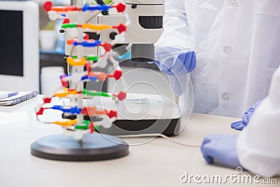 Scientists examining petri dish in microscope Stock Photo