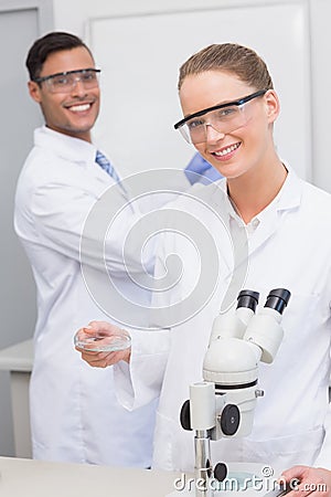 Scientists examining at petri dish and tubes Stock Photo