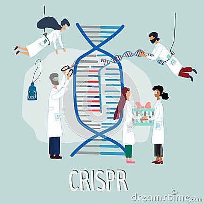 Scientists illustrated how CRISPR CAS9 works. Gene editing tool research . Vector Illustration
