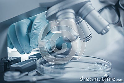 Scientists studying chemical element, Laboratory research concept Stock Photo