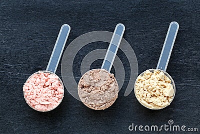 Scoops with different flavors protein powder Stock Photo