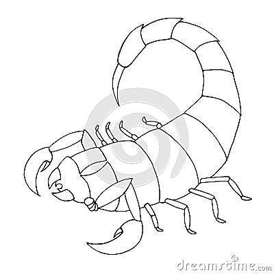 Scorpion coloring book. Vector outline illustration scorpio. Vector Illustration