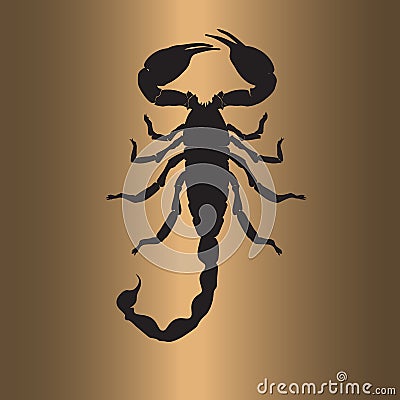 Scorpion flat art illustration Vector Illustration