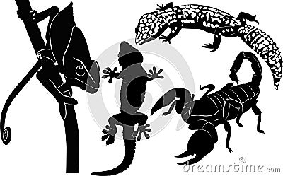 Scorpion gecko chameleon Vector Illustration