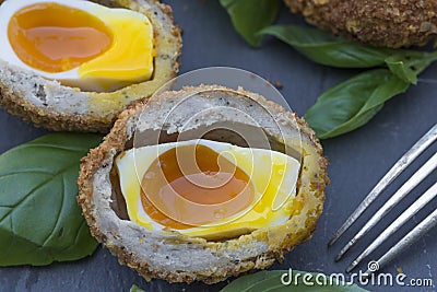 Scotch egg Stock Photo