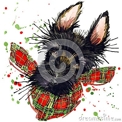 Scotch terrier dog T-shirt graphics, Scotch terrier illustration with splash watercolor textured background. Cartoon Illustration