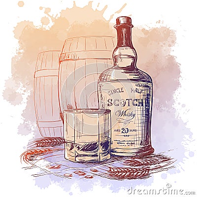 Scotch whiskey bottle, glass and casks with some barley ears and grains. Sketch style drawing isolated on watercolor Vector Illustration