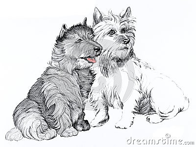 Scottie dogs illustration Cartoon Illustration