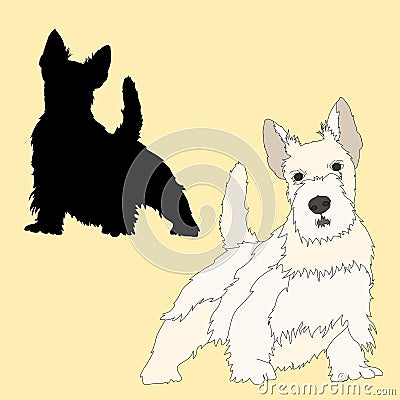 Scottish Terrier dog black silhouette realistic Vector Illustration