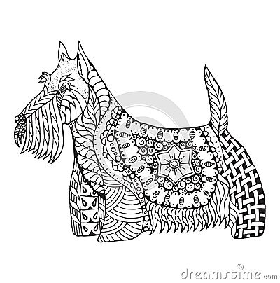 Scottish terrier dog zentangle stylized, vector, illustration, f Vector Illustration