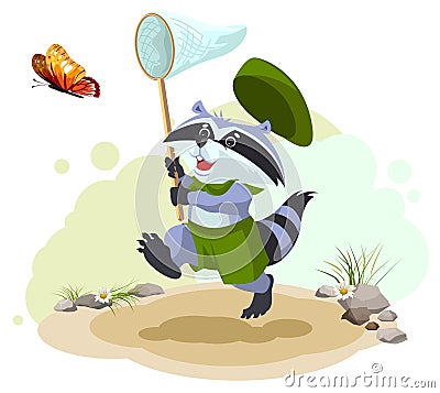 Scout raccoon butterfly catches. Entomologist with butterfly net. Summer leisure Vector Illustration