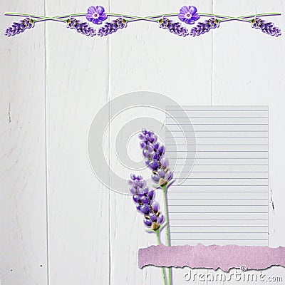Lavender Floral Scrapbook Background with White Wood #4 Cartoon Illustration