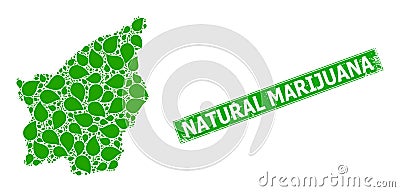 Scratched Natural Marijuana Badge and San Marino Map Mosaic of Floral Leaf Icons Vector Illustration