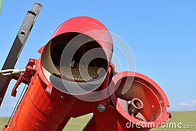 conveyor in agriculture. Stock Photo