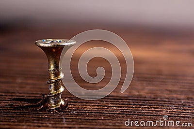 the screw is screwed into the wood with wood shavings. copy space Stock Photo