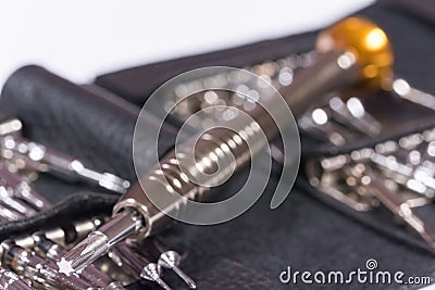 Screwdriver set in the black leather package Stock Photo