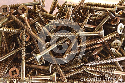 Screws Stock Photo