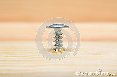 Screws screwdriver twist in wooden board. Joinery and construction work close up. Stock Photo