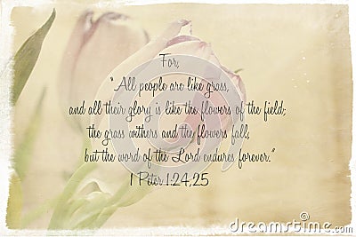 Scripture Verse with Background Image Stock Photo