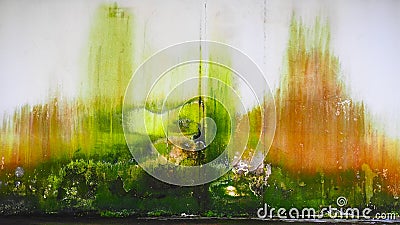 Scrubbed lichen and moss on a concrete wall forming a colorful abstract appearance Stock Photo