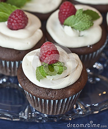 Scrumptious Cupcake Dessert Stock Photo