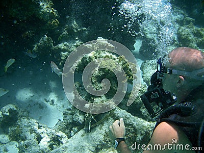 Scuba Diver Stock Photo