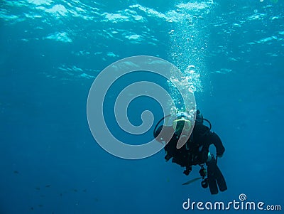 Scuba diver and coral reef Stock Photo