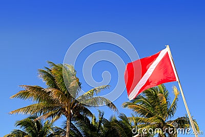 Scuba diver down flag tropical palm trees blue sky Stock Photo