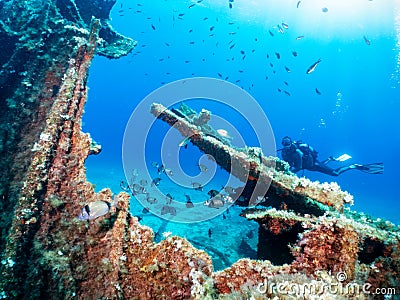 A scuba diver explores a sunken shipwreck Stock Photo