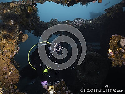 A scuba diver exploring a deep ship wreck underwater Stock Photo