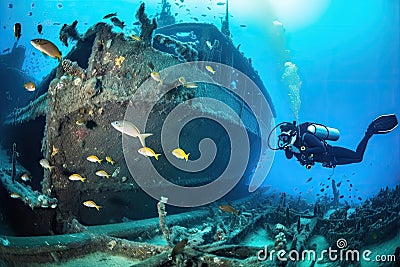 scuba diver exploring submerged shipwreck, with schools of tropical fish swimming among the wreckage Stock Photo