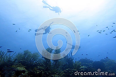 Scuba Diver in the ocean Stock Photo