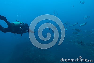 Scuba diver recording underwater video Stock Photo
