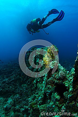 Scuba diver swim over the ribs of very old ship wreck Stock Photo
