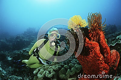 Scuba Diver Swimming By Coral Reef And Feather Star Stock Photo