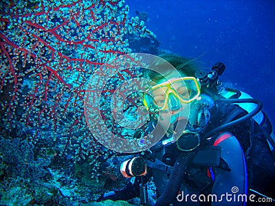 Scuba diver is underwater with a flat red coral. Women is wearing in scuba diving equipment: yellow mask, regulator and blue cost Stock Photo