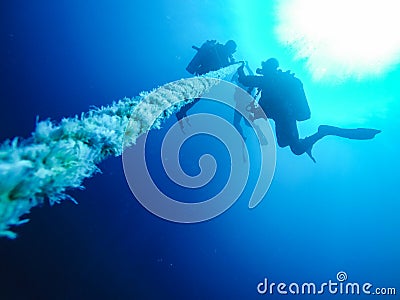 Scuba Divers Descending Holding a Rope to a Shipwreck in the Red Sea in Egypt. Stock Photo
