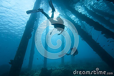 Scuba Divers under pier, Bonaire Stock Photo