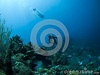 Scuba divers underwater Stock Photo