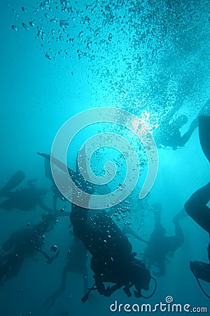 Scuba Divers underwater at Khao Lak, Thailand Stock Photo