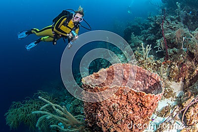 Blue Hole Belize Scuba Diving Editorial Stock Photo