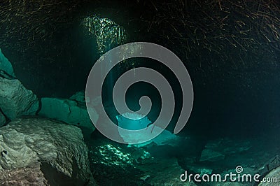 Scuba diving in the Casa Cenote, Mexico Stock Photo