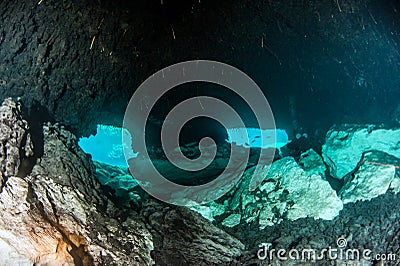Scuba diving in the Casa Cenote, Tulum, Mexico Stock Photo