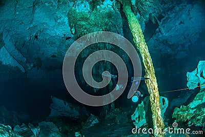 Scuba diving in the Cenote Dos Ojos, Mexico Stock Photo