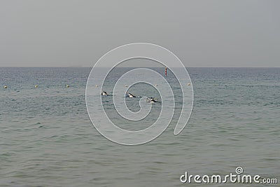 Scuba diving course. Divers with breathing apparatus are diving into Red sea. Sport activity vacation. Popular water sport and Stock Photo