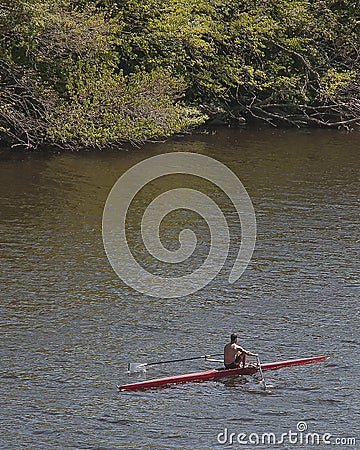 Scull on river Editorial Stock Photo